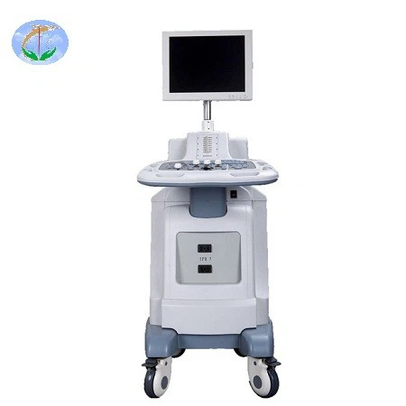 Digital Trolley Ultrasound Scanner YJ-U100T