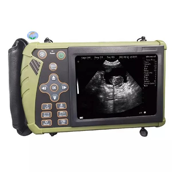 Veterinaire echografietafel Veterinaire echografie draagbaar