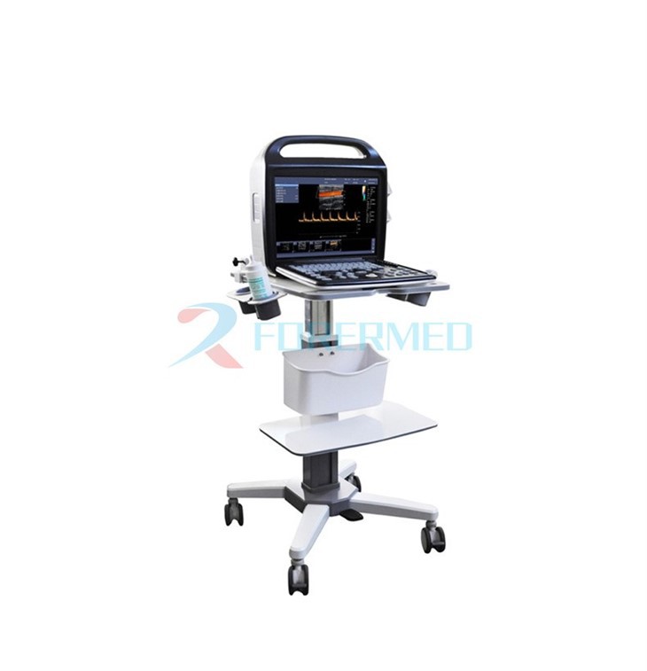 4d Colour Doppler Ultrasound 4d Colour Doppler Ultrasound